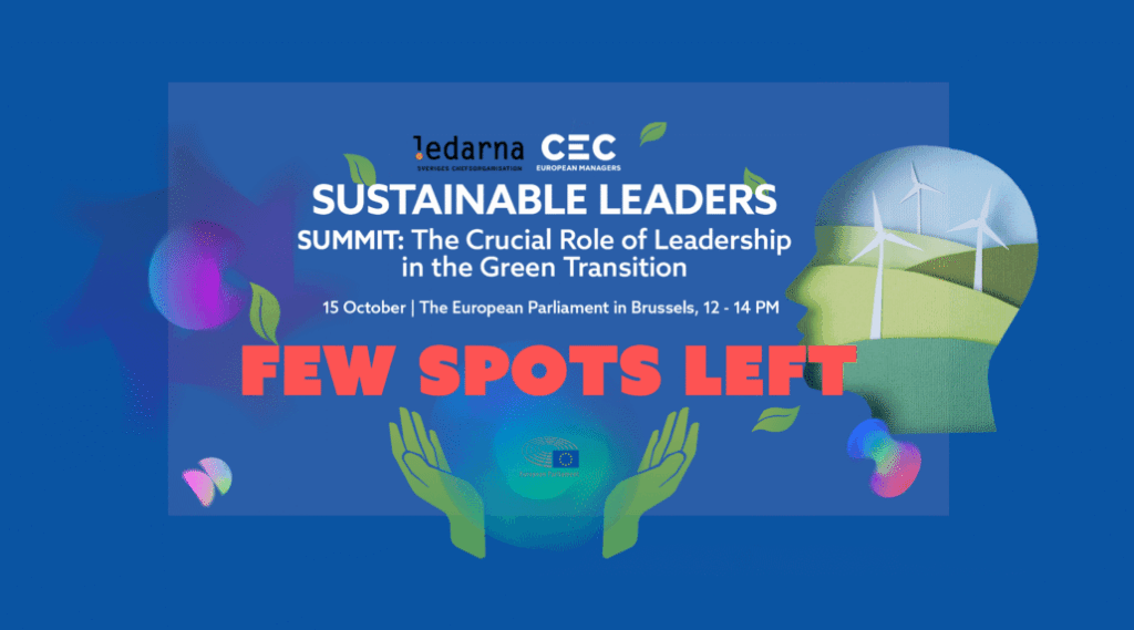 seminaire Leadership in the Green Transition